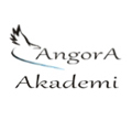 Angora Akademi